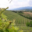Terreno agricolo in vendita a Cividale del Friuli