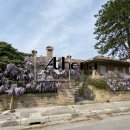 Villa indipendente quadricamere in vendita a Aquileia