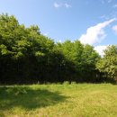 Terreno agricolo  in vendita a Capriva del Friuli