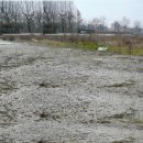 Terreno commerciale in affitto a ravenna